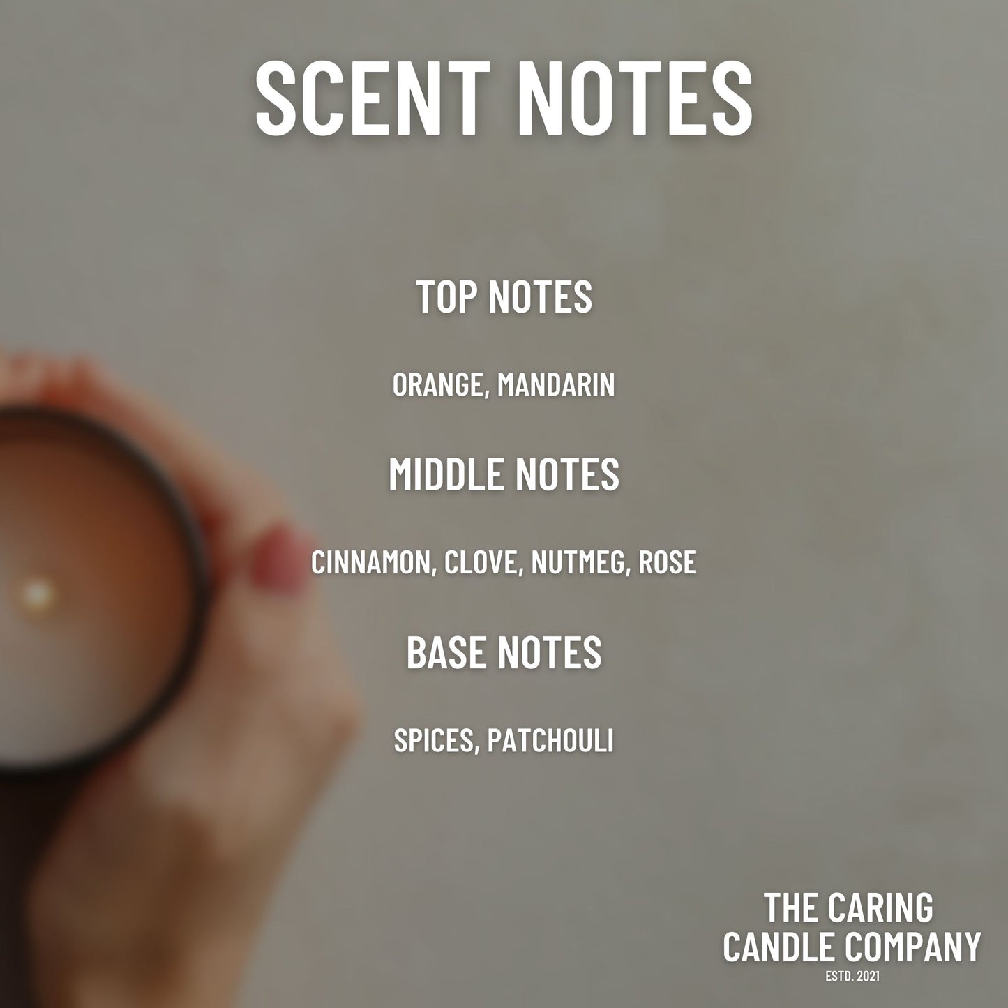Christmas Spice - The Caring Candle Company