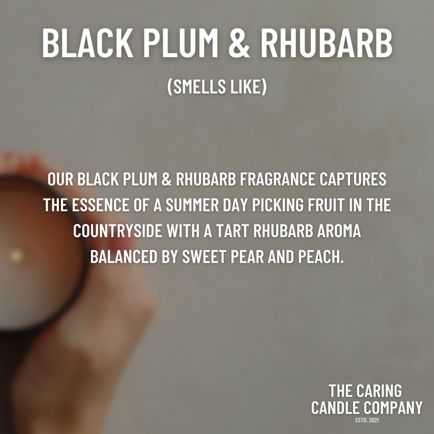 Black Plum & Rhubarb - The Caring Candle Company