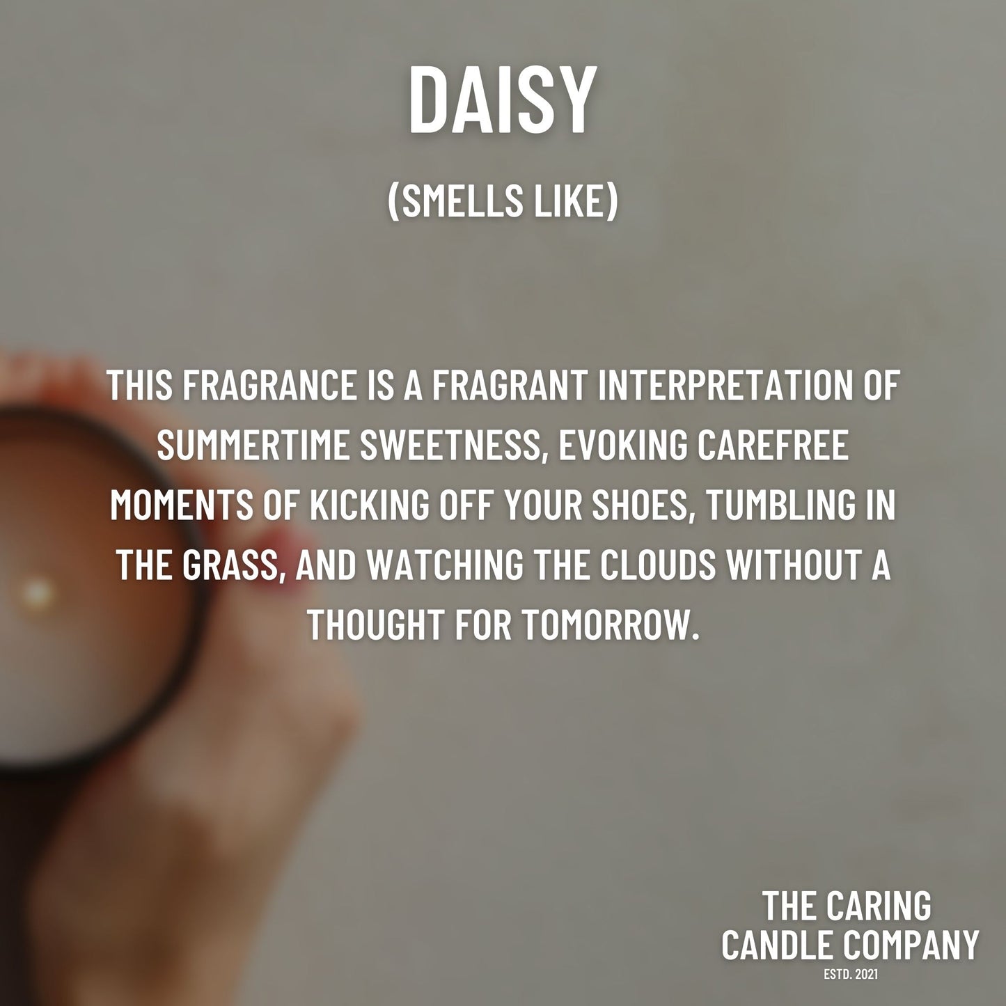 Daisy - The Caring Candle Company