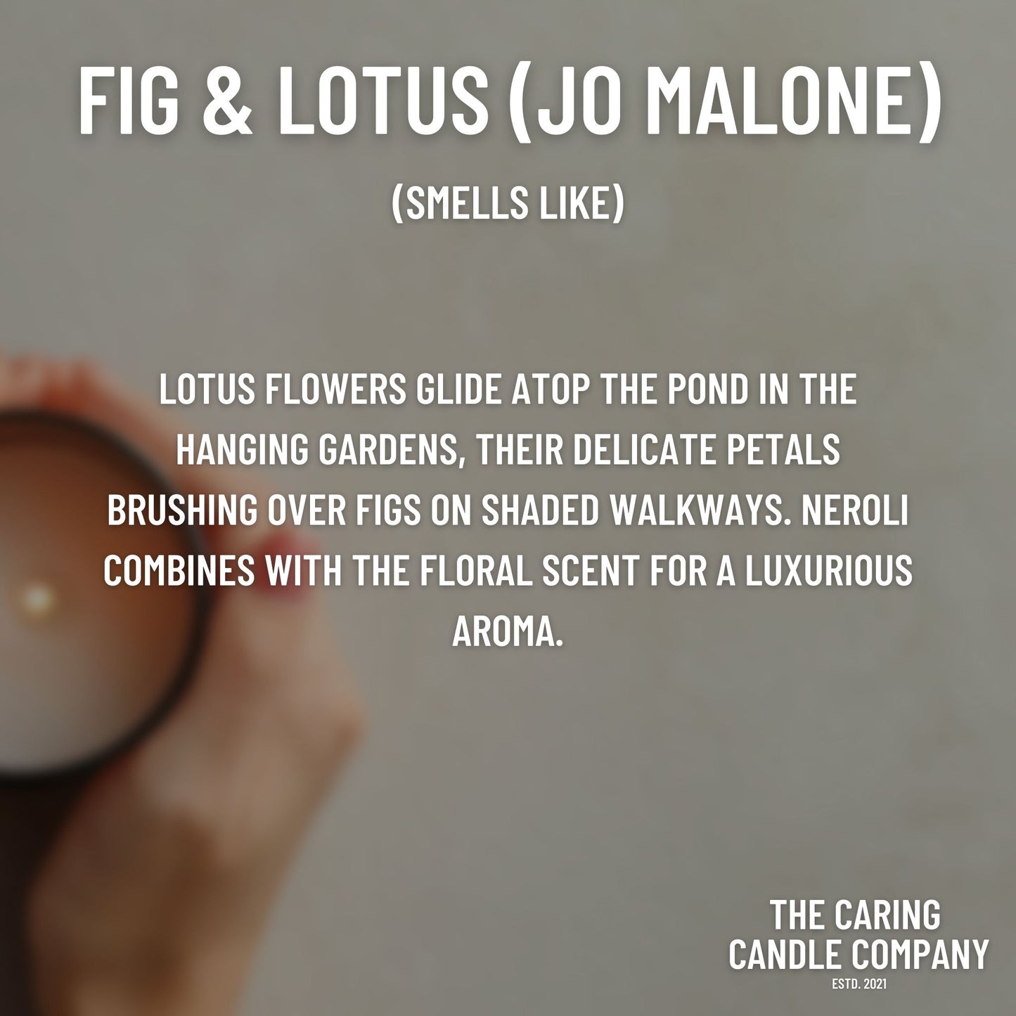 Fig & Lotus (Jo Malone) - The Caring Candle Company